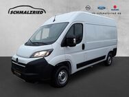 Opel Movano, 3.5 C Kasten HKa L2H2 t Edition Spurhalteass, Jahr 2024 - Bremerhaven