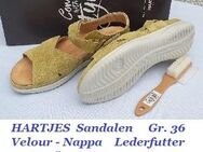 neuwertige Sandalen von HARTJES - Nürnberg