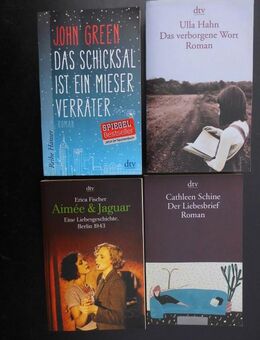 Zeitgenössische Literatur Romane Erzählungen 48 Bücher zus. 5,- - Flensburg