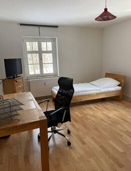 TOP voll möbilierte Studentenwohnungen - Rossau