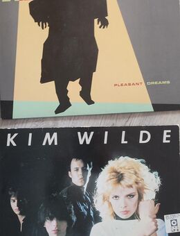 Venyl Langspielplatten Softpunk und klassischer Punk - Dresden