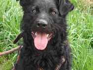 Jami sucht dringend Hilfe - Berlin