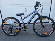 Verkaufe ein Fahrrad der Marke Tecnobike Porofino 24Zoll 21Gang Aluminium Rahmen - Roding Zentrum
