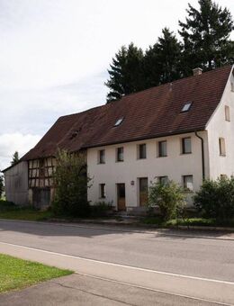 Familienfreundliches Bauernhaus mit vielen Möglichkeiten - Wald (Baden-Württemberg)