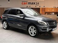 Mercedes-Benz ML 350 CDI BlueTec Airmatic AHK Standheiz. Pa - Cadolzburg