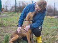Maxi❤️träumt von ihren Herzensmenschen - Rott (Inn)