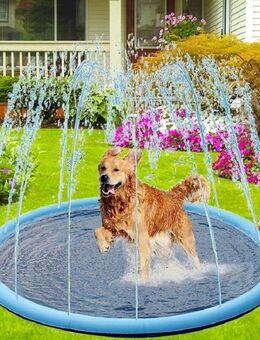 Hundepool Hundedusche Pool Hund Sommer Garten TRENDMOPS SUMMERSHOWER - Oldenburg