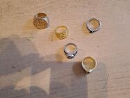 Ringe Gold und Totenkopf Ringe - Nordenham Zentrum