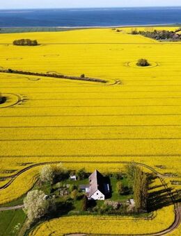 Ein Platz für Visionen: Entkerntes Bauernhaus in einzigartiger Alleinlage - Groß Kordshagen