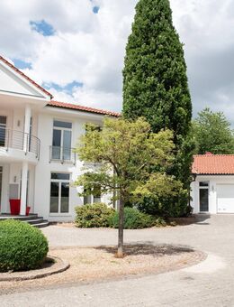 Exklusive Villa mit 3000 m² gewerblichem Bauland - Büren