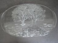 NEU - Servierplatte aus Glas, Baum-Motiv - Neuss
