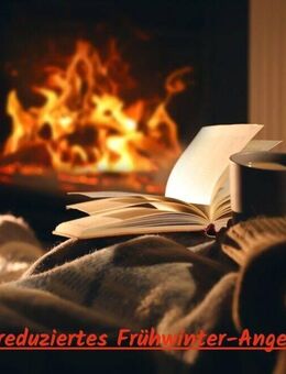 *** großes reizendes 2-Familienhaus mit Einliegerwohnung und viel Platz und grün drumherum ... ! *** - Oedheim