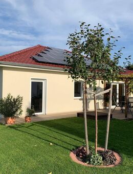 Wohnen auf einer Ebene: Bungalow, 4 Zimmer, rd. 108 m², inkl. Carport, Zisterne und Außenanlagen - Parthenstein