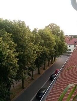 Mietwohnung in Greifswald - Greifswald