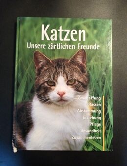 Katzen, Unsere zärtlichen Freunde - Antje Breuer - Essen
