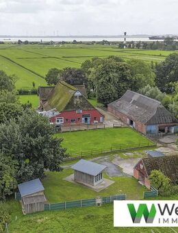 Charmantes Reetdach-Anwesen nahe der Elbe - Wohnen, Ferienvermietung & Pferdehaltung auf 10.480 m² Grdst. - Wewelsfleth