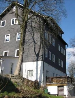 Altersgerecht sanierte 2-Raum-Whg. auf der Sonnenseite in Lichte - Neuhaus (Rennweg) Zentrum