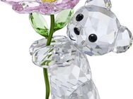 Swarovski Dekofigur Kristallfigur Sammelfigur Kris Bär Ein Gänseblümchen für Dich (1 St), Swarovski® Kristall