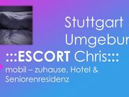 :::CHRIS DRESSMAN - mobil - zuhause - Hotel ::: - Stuttgart