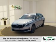 Skoda Octavia, 1.5 TSI Combi Selection Digital, Jahr 2024 - Stendal (Hansestadt)