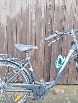 Fahrrad - Pegasus Damen - Florstadt