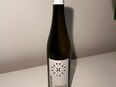 Winter Sauvignon Blanc 2023 Weißwein in 22589