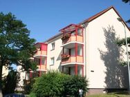 Helle und freundliche Wohnung- sofort verfügbar!!! - Hohenstein-Ernstthal