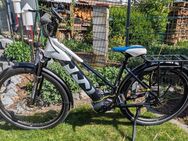 E-Bike Husqvarna Grand Tourer GT 6 - Solingen (Klingenstadt)