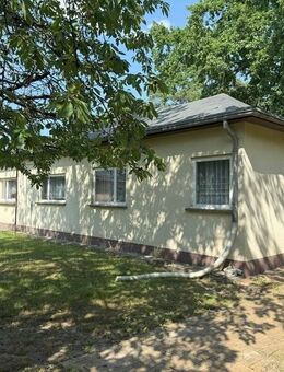 Einfaches Haus auf großem Grund - das kann ein Glücksfall sein... - Petershagen (Eggersdorf)