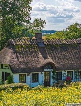 Reetkate mit eigenem Wald- echte Alleinlage- Ostsee 4km - Steinberg (Schleswig-Holstein)