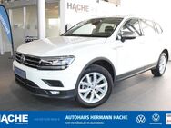 VW Tiguan, 1.5 TSI Allspace Highline OPF, Jahr 2021 - Blomberg (Nordrhein-Westfalen)