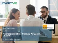 Finanzspezialist für Treasury-Aufgaben (m/w/d) - Garching (München)
