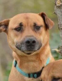 Ausgeglichener und lieber MAX3! - Geilenkirchen