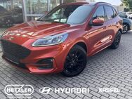 Ford Kuga, 1.5 ST-Line X EcoBoost EU6d-T digitales El, Jahr 2020 - Kassel