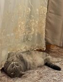 Hübsche Mädchen in 10557