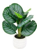 Kunstpflanze Maranthus, I.GE.A., Höhe 43 cm, Künstliche Korbmaranthe Galathea Medaillon Kunstpflanze Efeutute in 00000