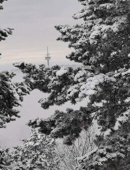 Traumhaftes Mehrgenerationenhaus: Pool, Panoramablick & Ruheoase - nur 30 Min. v. FFM/Wiesbaden - Glashütten (Hessen)