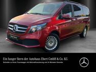 Mercedes V 250, d L EDITION Kamra Sport DISTRO, Jahr 2023 - Weinheim