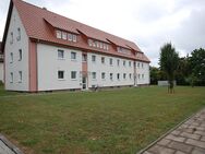 WWS - Erdgeschosswohnung in ruhiger Lage - Herford (Hansestadt)