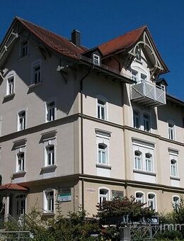Große, sonnige, gepflegte Wohnung am Altstadtrand - Wangen (Allgäu)