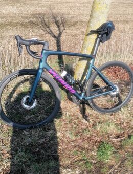 Möchte nicht mehr alleine 🚴fahren - Mönchengladbach
