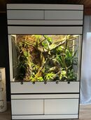 -20% auf Premium Kunststoff Terrarien und Terrarium Racks in 63500
