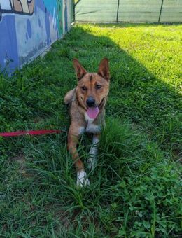 Lora sucht aktive Menschen - Ellerbek