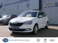 Skoda Fabia, 1.0 MPI Cool Plus hinten K, Jahr 2019 - Rostock