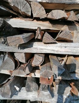 Brennholz Buche gespalten auf Meterstücke - Rüthen