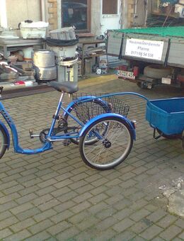 Dreirad Fahrrad - Wittenberg (Lutherstadt)