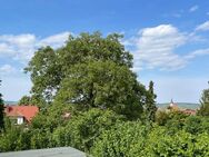 Dieser Blick ist fast unbezahlbar... Einfamilienhaus in ruhiger Wohnlage - solide Bausubstanz - Naumburg (Saale)