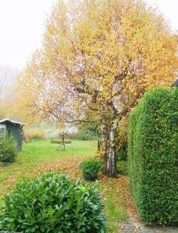 Reihenendhaus - Provisionsfrei - neue Heizung inkl. Solarthermie - Pforzheim