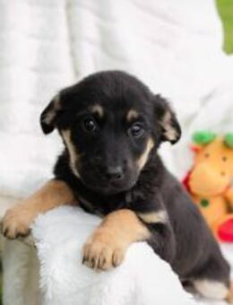 273887 - zusammen Abenteuer erleben - Overath