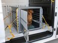 Opel/Renault Kleinmetall Hundebox MultiCage Einzelbox *Borgmann* in 47803